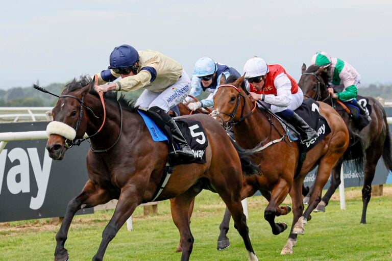 Racehorse Washington Heights and Tom Eaves clear near the winning ling at Carlisle