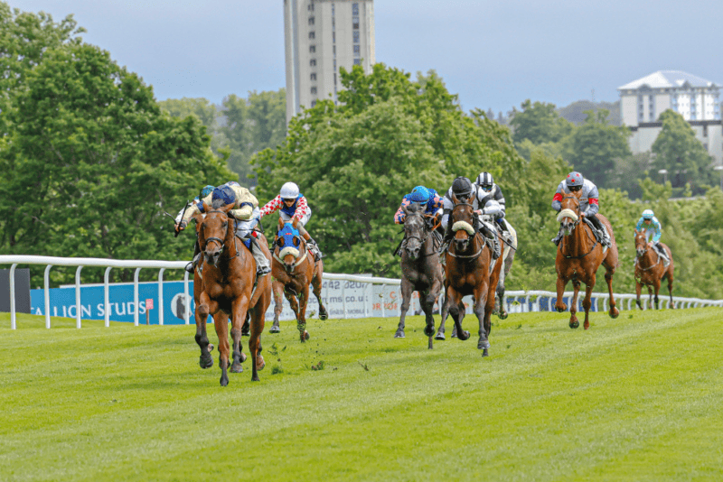 The racehorse Belsito in front at Hamilton Park Racecourse for Hambleton Racing