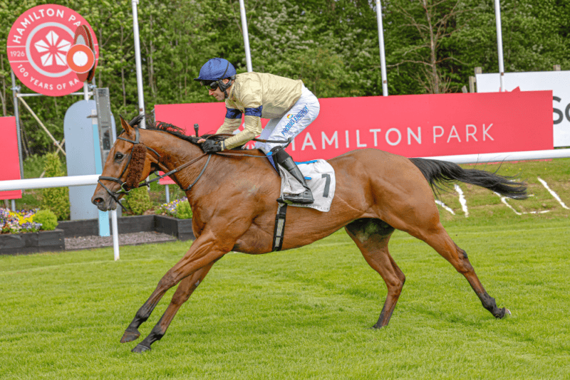 The racehorse Belsito crosses the line at Hamilton Park Racecourse for Hambleton Racing under jockey Tom Eaves