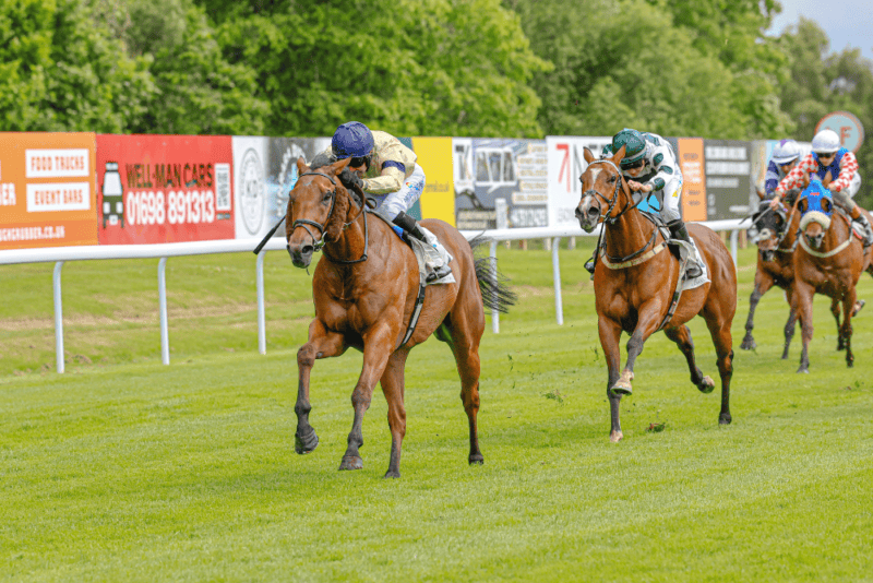 The racehorse Belsito clear at Hamilton Park Racecourse for Hambleton Racing