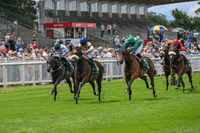 Kodiak Breeze on his way to winning at Thirsk under jockey Shane Gray.