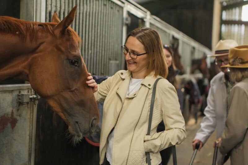 a lady wearing glasses pets a chestnut racehorse
