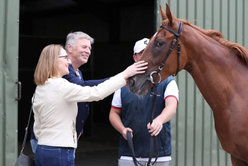 a couple meet their new racehorse for the first time