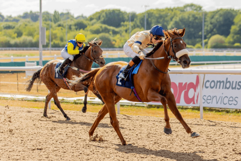 the racehorse American Style on his way to winning at Wolverhampton