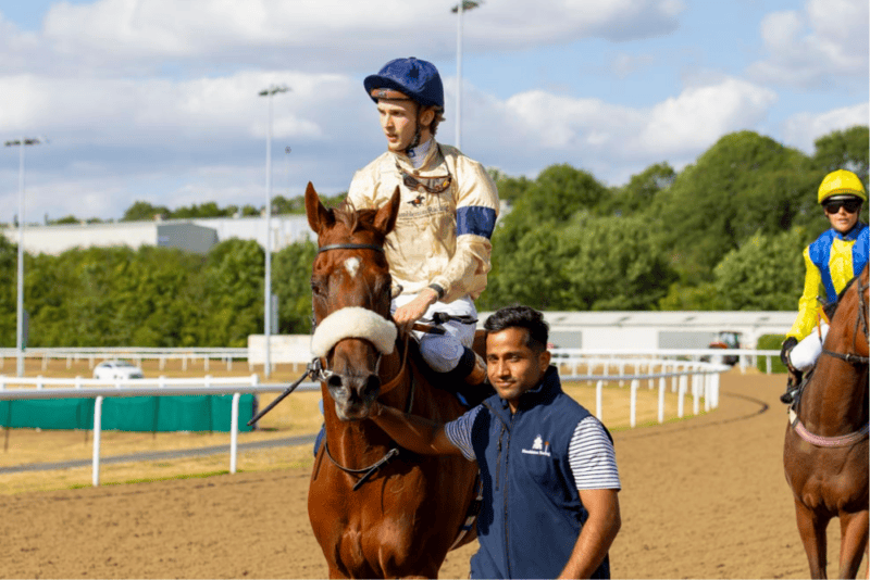 a man leads the chestnut racehorse American Style into the winners enclosure at Wolverhampton