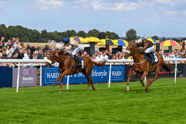 the racehorse Pivotal Voyage stretches out to win at Beverley