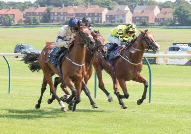 FELL THE NEED Ridden by Daniel Tudhope wins at Ayr 18/7/22
Photograph by Grossick Racing Photography 0771 046 1723